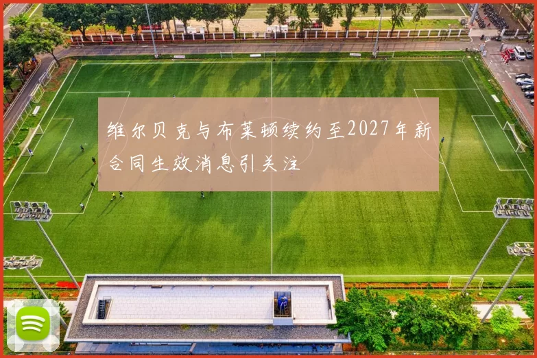 维尔贝克与布莱顿续约至2027年新合同生效消息引关注