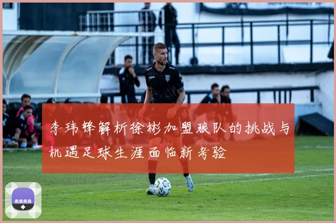李玮锋解析徐彬加盟狼队的挑战与机遇足球生涯面临新考验