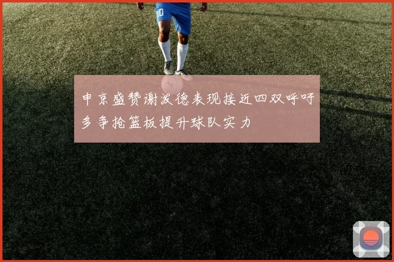 申京盛赞谢泼德表现接近四双呼吁多争抢篮板提升球队实力